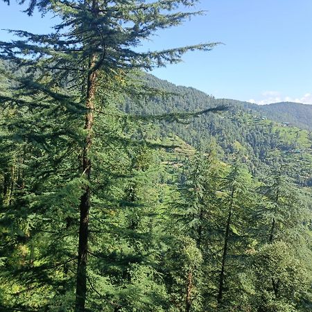 Peace Holiday Homestay Chail Buitenkant foto