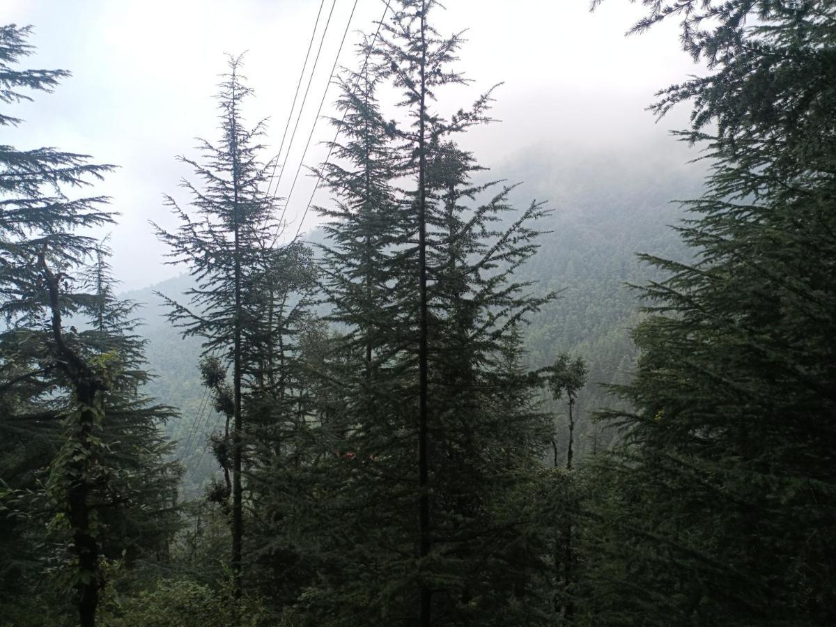 Peace Holiday Homestay Chail Buitenkant foto