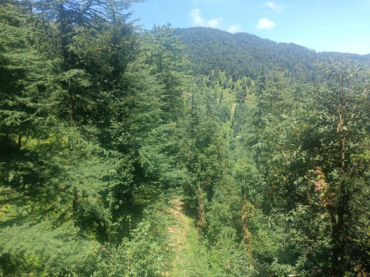 Peace Holiday Homestay Chail Buitenkant foto