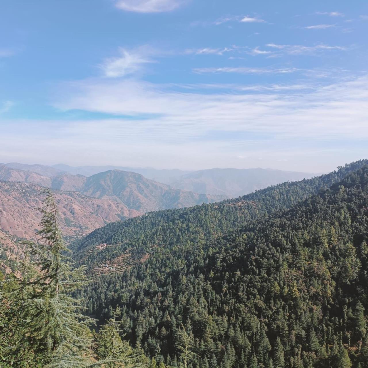 Peace Holiday Homestay Chail Buitenkant foto