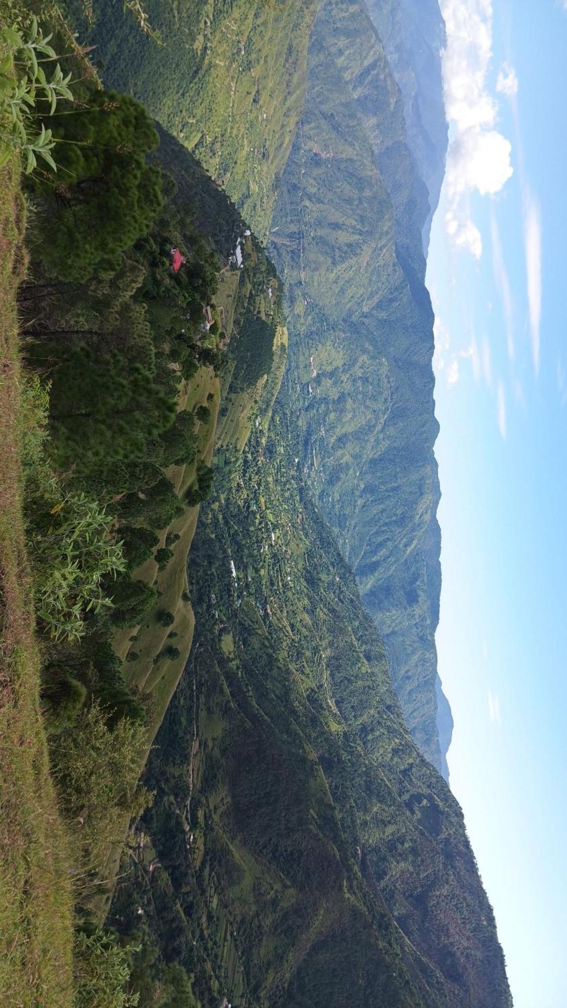Peace Holiday Homestay Chail Buitenkant foto