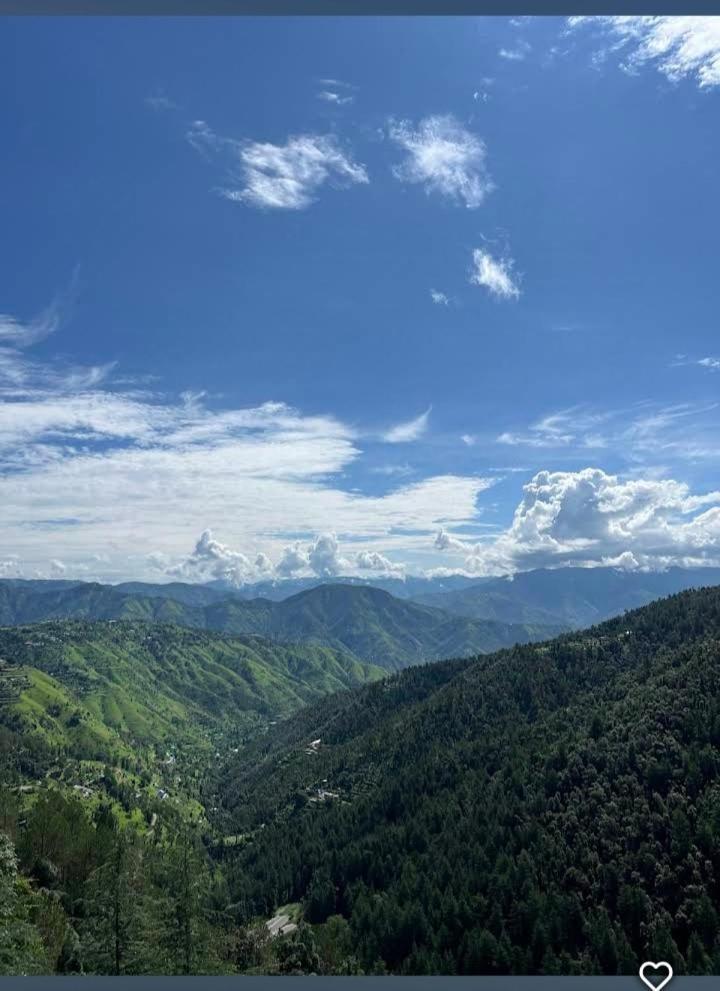 Peace Holiday Homestay Chail Buitenkant foto